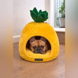 🍍🐾 Adorable Pineapple Pet Bed – The Cutest Cozy Hideaway! 🐾🍍